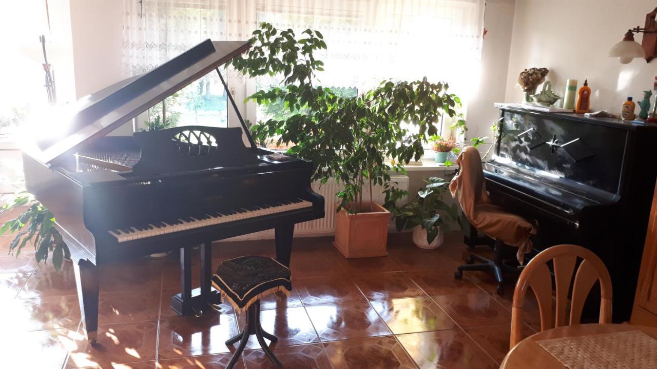 דירות Liptovský Mikuláš Penzion Piano מראה חיצוני תמונה
