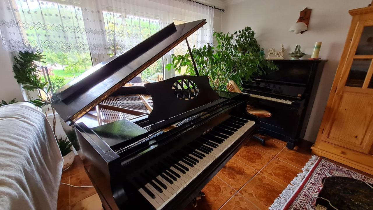 דירות Liptovský Mikuláš Penzion Piano מראה חיצוני תמונה